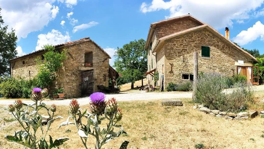 B&B Luna E Stelle Premilcuore Luaran gambar